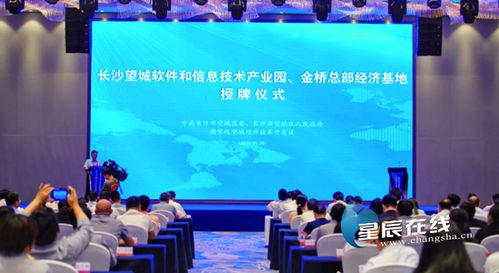 望城软件园扬帆起航，专项扶持政策助力信息技术服务业腾飞