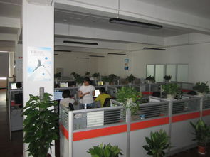 武汉灏信信息技术服务图册 引领数字化转型的专业力量